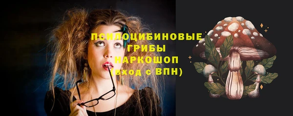ПСИЛОЦИБИНОВЫЕ ГРИБЫ Бородино