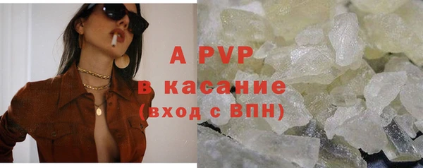 прущие грибы Богородицк