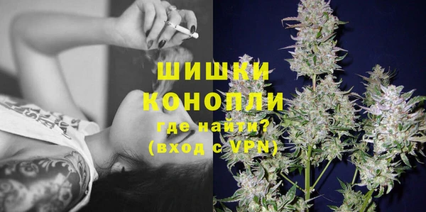 прущие грибы Богородицк