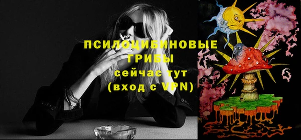 прущие грибы Богородицк