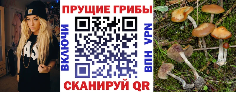 Галлюциногенные грибы Cubensis  Добрянка 
